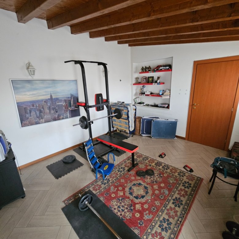 palestra